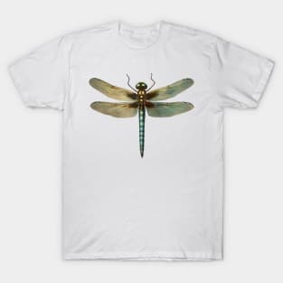 Mythical Clockwork Dragonfly T-Shirt